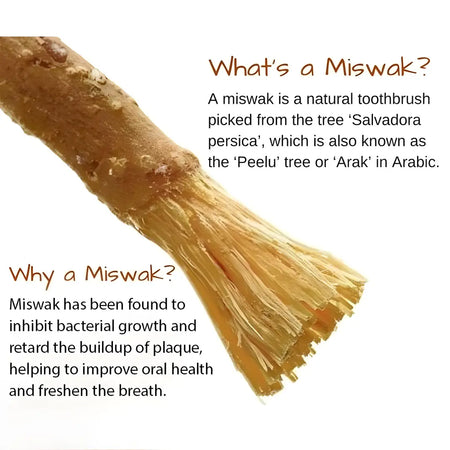 Miswak Vacum Packed Natural Toothbrush-Sewak Al Falah - almanaar Islamic Store