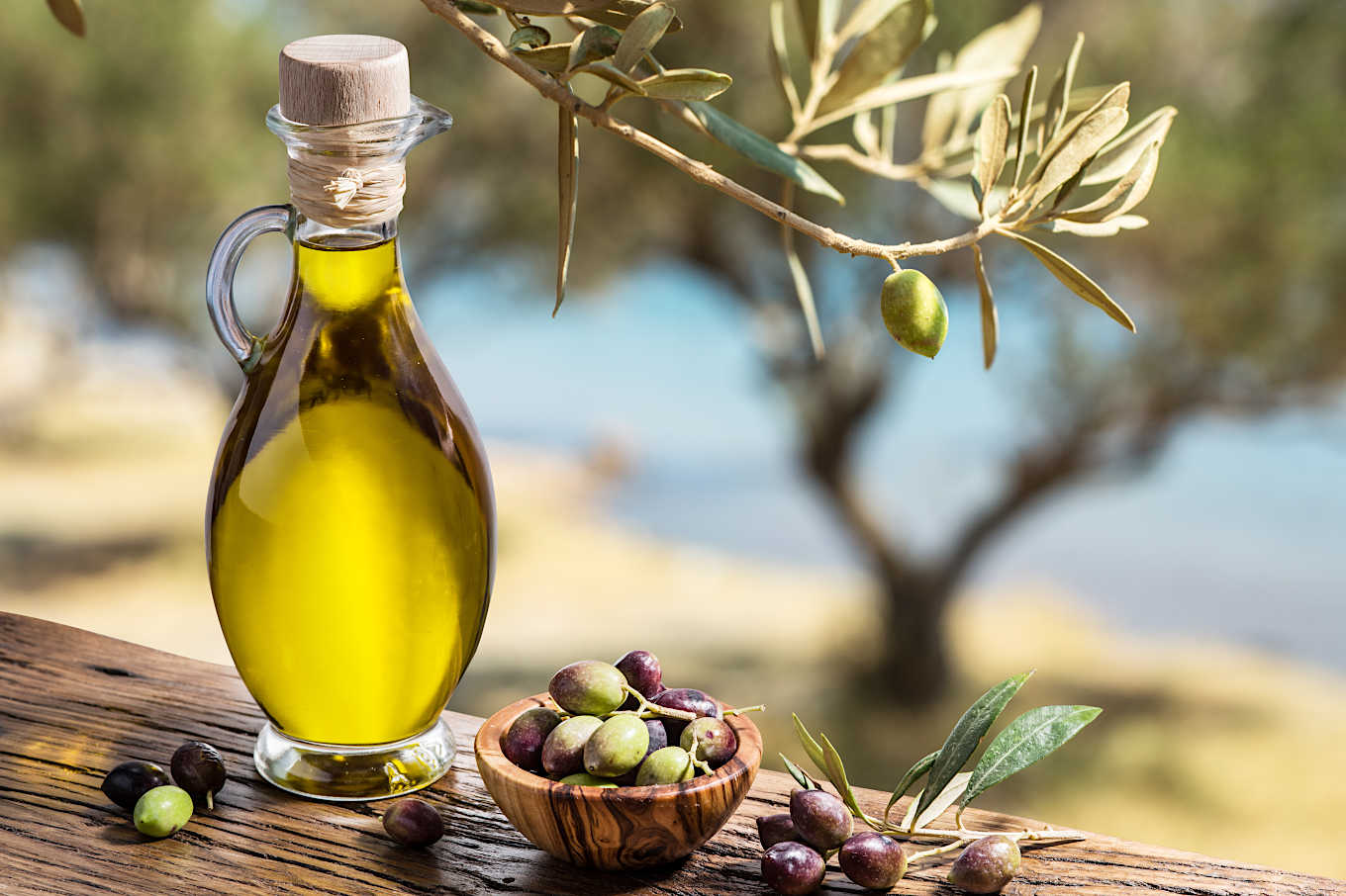 Organic Extra Virgin Olive Oil Premium Quality 100% Natural-almanaar Islamic Store