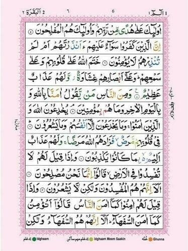 Color Coded 13 Lines Tajweed Quran 824/M-almanaar Islamic Store