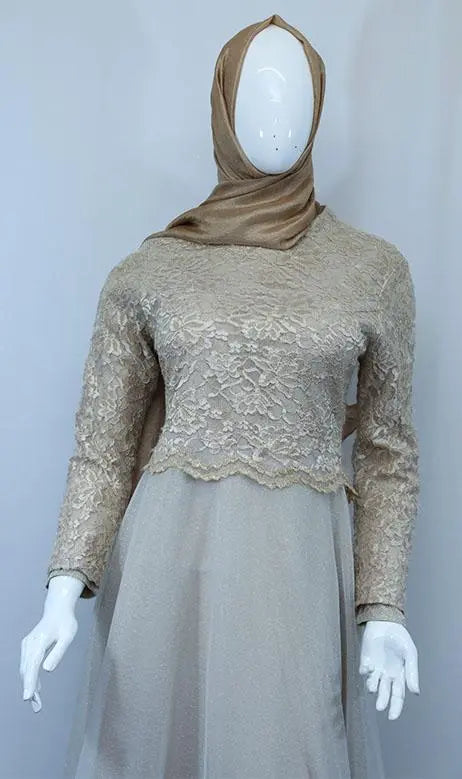 Marvellous net embroider dresses for party-almanaar Islamic Store