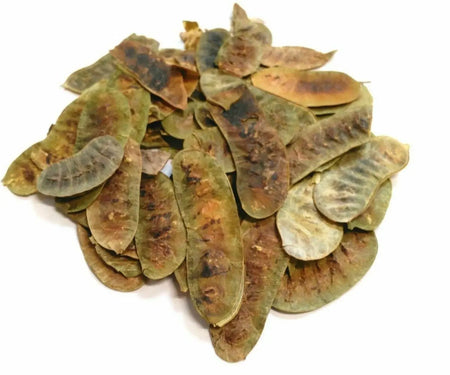 Organic Senna Pods 50g-almanaar Islamic Store