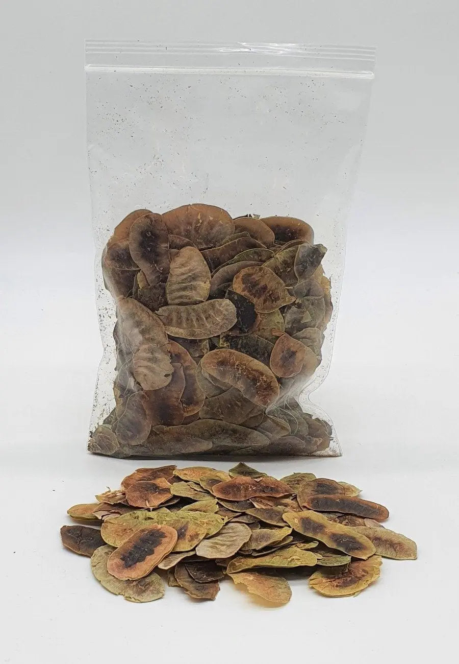 Organic Senna Pods 50g-almanaar Islamic Store